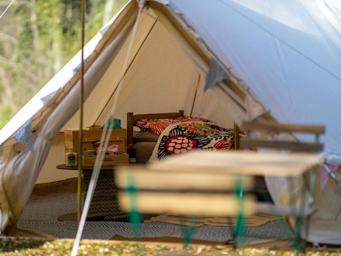 Naturally Glamping Kingsteignton エクステリア 写真